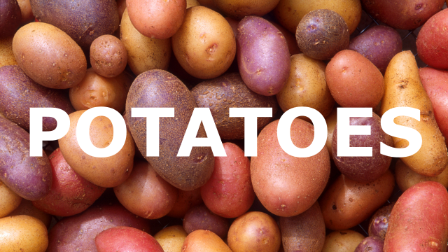 Thumbnail for Potato Co.